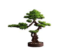 XXAD553TY Bonsai Artificiale Simulato Pino di Benvenuto Ufficio Pino Finto Albero Artificiale Bonsai Soggiorno Portico pianta Verde Albero Finto Decorazione del Paesaggio Bonsai(Size:80cm)
