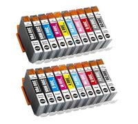 XXINGYULI Set di cartucce d'inchiostro compatibili per la stampante ImagePROGRAF PRO-300 PFI-300 PFI300 Disponibile in 10 pezzi 20 pezzi 30 pezzi(PFI-300-20pcs 2set)