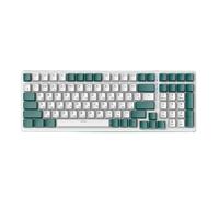 XXINGYULI Tastiera Meccanica cablata ergonomica sostituibile a Caldo 100 compatibilità per PC Office e Giochi russi(Aqua Green Axis)