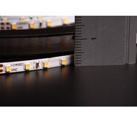 XXS 700 led BIANCO FREDDO 5m LED STRIP STRISCIA ULTRASTRETTA 3,5mm SMD2216 B9D3