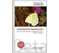 Xylinophylla Hypocausta: Geometridae, Moth, Peninsular Malaysia, Borneo, Insect, Butterfly, Lepidoptera