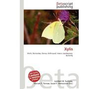 Xylis: Moth, Noctuidae, Genus, Arthropod, Insect, Lepidoptera, Butterfly