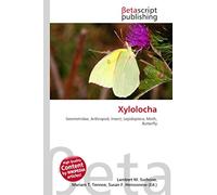 Xylolocha: Geometridae, Arthropod, Insect, Lepidoptera, Moth, Butterfly