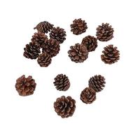 Xyntor Pine Cones Decorations 16Pcs | all - Season Christmas Tree Ornaments/Wreath Making/Present Toppers | Real Pinecones for Holiday Centerpieces & Crafts