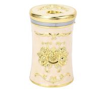 Xyntor Vintage Toothpick Holder | Portable & Shatterproof Plastic Container | Easy - Access Toothpick Organizer for Home / Hotel / Restaurant | Decorative Storage Box for Tables & Desks (Gold White)