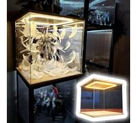 Xyrona Teca Plexiglass Vetrina Espositiva Quadrata con Luce a LED, Scatola da Banco Trasparente e Antipolvere, Impilabile, Vetrina Espositiva in Acrilico con Ampio Spazio(30x30xH30cm/12x12x12)