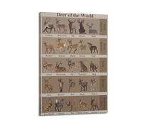 XYSXYCP Album fotografico da parete con animali poster informativo con cervi specie del mondo, famiglia moderna, decorazione per soggiorno, 20 x 30 cm