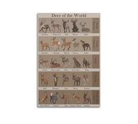 XYSXYCP Album fotografico da parete con animali poster informativo con cervi specie del mondo, famiglia moderna, decorazione per soggiorno, 50 x 75 cm