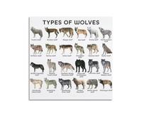 XYSXYCP Album fotografico da parete con animali poster informativo lupo specie del mondo, famiglia moderna, decorazione per soggiorno, 30 x 30 cm