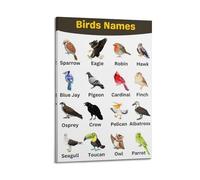 XYSXYCP Album fotografico da parete con poster informativo con specie di uccelli, moderno, decorazione per soggiorno, 50 x 75 cm