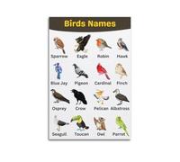 XYSXYCP Album fotografico da parete con poster informativo con specie di uccelli, moderno, decorazione per soggiorno, 50 x 75 cm