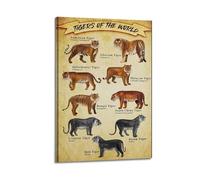 XYSXYCP Album fotografico da parete con stampa di animali, poster informativo con specie tigre del mondo, famiglia moderna, decorazione per soggiorno, 40 x 60 cm