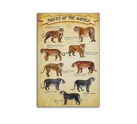 XYSXYCP Album fotografico da parete con stampa di animali, poster informativo, specie tigre del mondo, famiglia moderna, decorazione per soggiorno, 30 x 45 cm