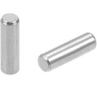 XYWHPGV 50 Pz 3mm x 10mm Spina di riferimento 304 In Acciaio Inox Legno Letto a Castello Spine di riferimento Mensola Pioli Ripiani di Supporto Tono Argento(12222 b0d68 1905a 9de12 9e603 d597b