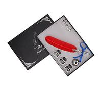 Xzcvalimn Penna a calamo retrò vintage con 5 punte intercambiabili in lega, set di penne per calligrafia con naturale per scrivere diari, lettere e praticare l’arte. (Rossa)