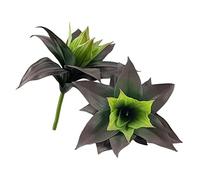 XZJMY Pianta artificiale di agave piante artificiali agave falso pianta grassa resistente ai raggi UV, piante finte di agave per la decorazione della casa e dell'ufficio (rosso autunno, 2 pezzi)