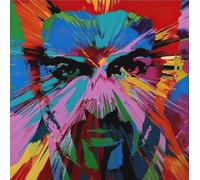 XZSFD NBGEA Damien Hirst Poster e stampe Immagine a colori astratta di arte murale》Composizione avatar uomo》 Dipinto su tela Damien Hirst per decorazioni per la casa 50x50cm senza cornice