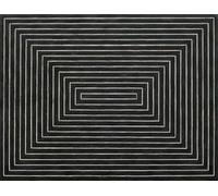 XZSFD NBGEA Frank Stella Poster Stampe astratte Immagine della mostra di arte murale a colori《Cambi di linea》Frank Stella Dipinto su tela per decorazioni per la casa 50x70 cm senza cornice