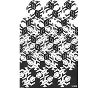 XZSFD NBGEA M.C Escher Poster Vision Graphic Canvas Painting《Black Illusion Pattern》 Da M.C Escher Wall Art Collection Stampe per Home Décor 40x60cm Unframed