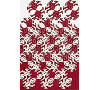 XZSFD NBGEA M.C Escher Poster Vision Graphic Canvas Painting《Red Illusion Pattern》 Da M.C Escher Wall Art Collection Stampe per l'arredamento 40x60cm senza cornice