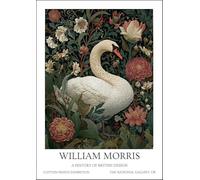 XZSFD NBGEA Poster di William Morris Mostra d'arte murale moderna Cigno bianco in giardino di William Morris Stampe Quadro a colori su tela per l'arredamento della casa 50x70cm senza cornice