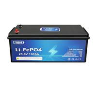Y&H Batteria al litio LiFePO4 da 24 V,100 Ah, con Bluetooth, capacità massima di 2560 Wh, porta USB, indicatore di tensione in temporeale, BMS integrato, per motori Trolling, camper, barche