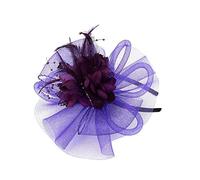 Y Pen Nastri Mesh Donne Cappello e Piume Moda Matrimonio Fascinator N Party Caps Bill Dance Hat, Viola, Taglia unica