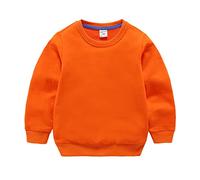 Y2K Felpa Ragazzi 2025,Felpa con Cappuccio da Jogging Cappotto Stampa Animale del Fumetto Bambino Pullover Bimbo casa Carino e Moda per Tutti I Giorni Usura