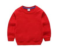 Y2K Felpa Ragazzi 2025,Felpa con Cappuccio da Jogging Cappotto Stampa Animale del Fumetto Bambino Pullover Bimbo casa Carino e Moda per Tutti I Giorni Usura