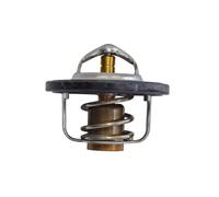 Y4JH1241000 - TERMOSTATO T-MAX 500 04-11