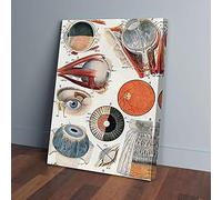 YAASIMOULE Stampe su tela Anatomia degli occhi dell'ottico