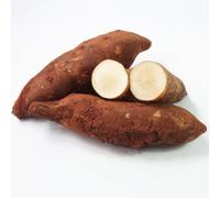 Yacon di giardino ufficio semi biologici balcone resistenti semi saporoso giardino interno rocce resistenti all'aria aperta 50pcs