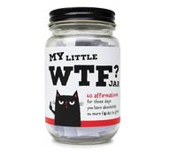 Yacriso Barattolo di affermazioni divertenti: 60 citazioni toste sulla cura di sé, biglietti sarcastici di affermazione quotidiana in un barattolo, barattoli di incoraggiamento tosti (1pc)