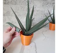 Yacriso Pianta con Penna di Aloe Vera Stampata in 3D, Penne magnetiche con Aloe Vera, Ogni Stelo è Una pianta d'appartamento Finta con Penna per Le Persone Che Non riescono a Mantenere in Vita Le (A)