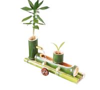 YAIUNHIQ Fontana da Giardino in bambù, Fontana in bambù in Stile Giapponese | Con kit pompa, for cortile con acquario(55cm)