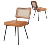 YAIXBNG Sedia da pranzo in ecopelle (2 pezzi) Sedia da pranzo in rattan, sedia da trucco ergonomica, leggera e di lusso