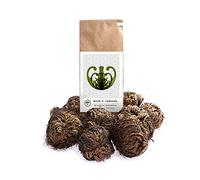 YAKEBA | 10 x Rose di Gerico | Piccole | Selaginella lepidophylla | set di bicchierini | Come piante decorative uniche o come accessori per il terrario di bottiglie e piante da giardino