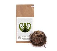 YAKEBA I Piccolo I Rosa di Gerico I Selaginella lepidophylla I Pianta da interno perfetta come decorazione o accessorio per terrario I Accanto a muschio o piante di pietra