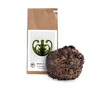 YAKEBA | Rosa di Gerico | Media | Selaginella lepidophylla | Sacchetto di carta | Perfetto come decorazione o come accessorio per terrari/bottiglie da giardino | Pianta nel vaso e diventerà già verde