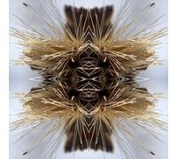 Yakuza Sutra (CD) Album