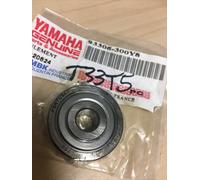 Yamaha 93306-300Y8 Cuscinetto Ruota Anteriore 50 Jog Zuma Mach Bw's Stunt E. Etc
