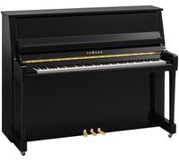 Yamaha B20 PE