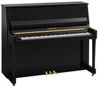 Yamaha B30 PE