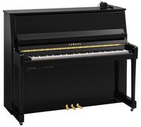 Yamaha B30 SC3 PE