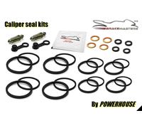 Yamaha TZR250 Molla 1995 Pinza Freno Anteriore Seal Ricostruire Riparare Kit 3XV