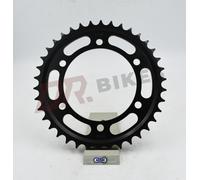 Yamaha XJR1300 C 15-17 AFAM Acciaio Corona 12813-38