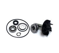 Sgr Yamaha T-max 530 Water Pump Rebuild Kit Oro
