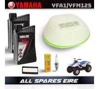 Yamaha YFA1 Breeze 125cc Service Kit Inc filtro, spina e olio