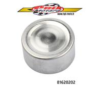 YAMAHA YZF 1000 THUNDERACE 1996/2000 Pistone Etreri Freni Posteriore Nuovo