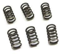Yamaha YZF R6 - 06/16 - Kit Molle Frizione EBC / CSK126